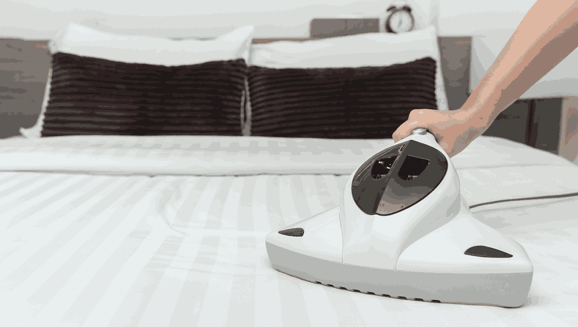 Professional Mattress Cleaning Seaholme